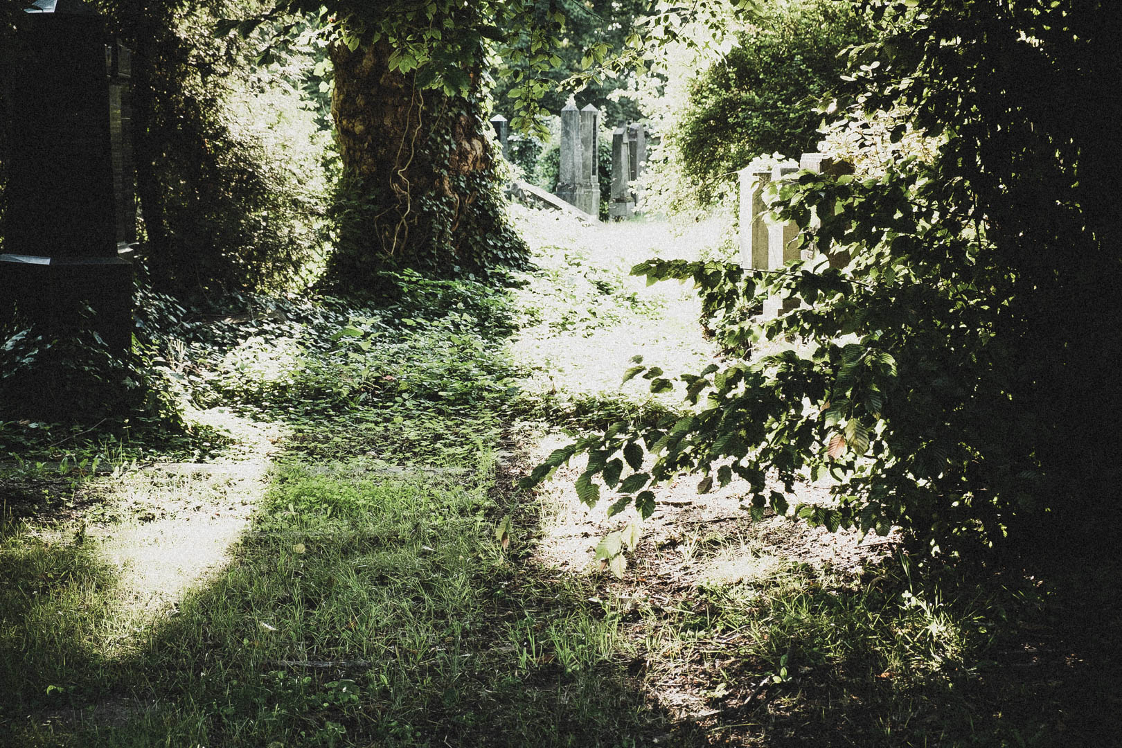 Jüdischer Friedhof Kassel-Bettenhausen